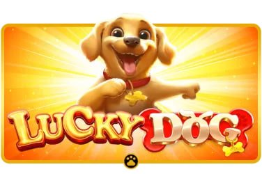 ঢাকায় jackpots স্পোর্টস গাইড অভিজ্ঞতা